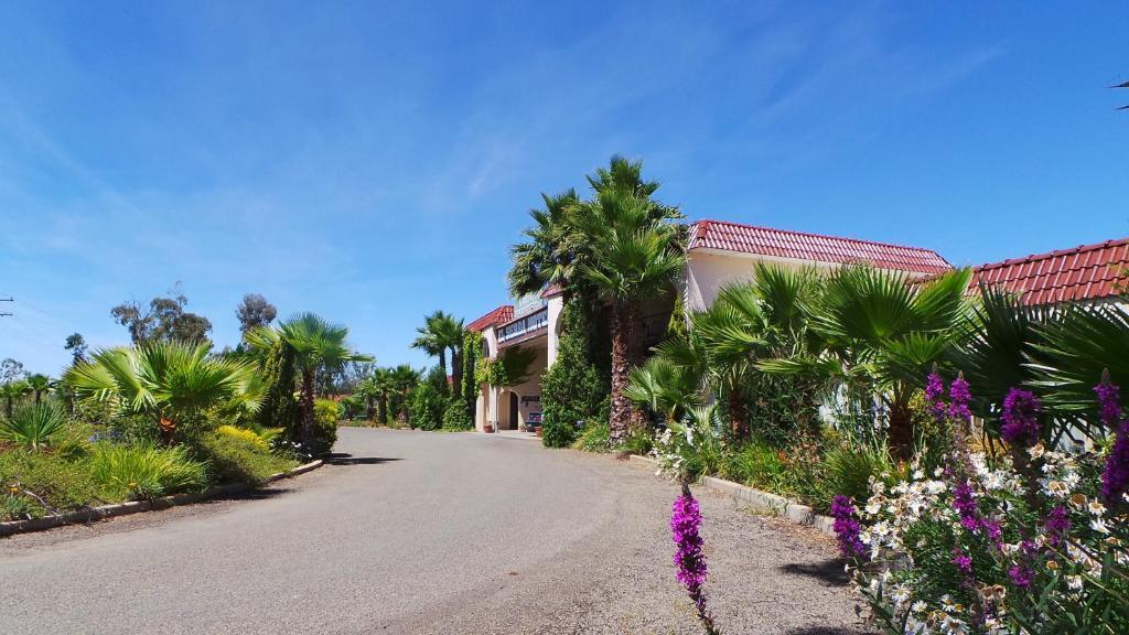 El Sierra Motel Barooga Eksteriør bilde